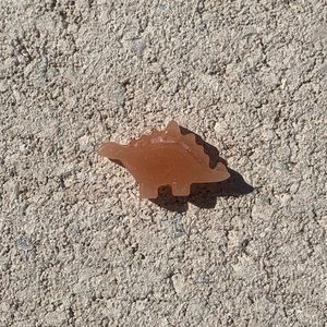 Dinosaur wax melts $20 for 30